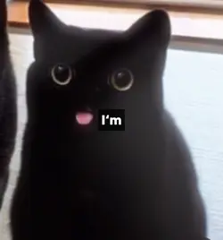 that innocent