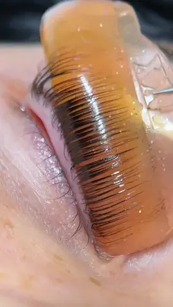 Eyelash Lamination