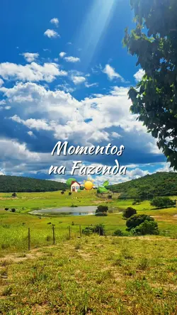 Momentos na Fazenda 