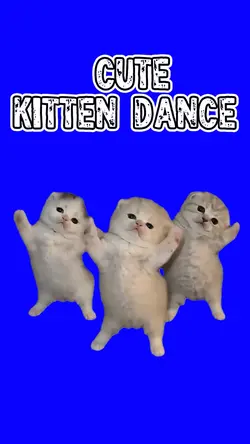 CUTE KITTEN DANCE