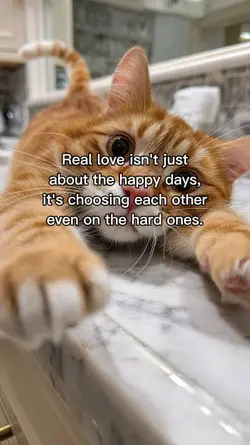 tread quotes 