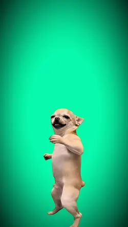 Brazilian dance
