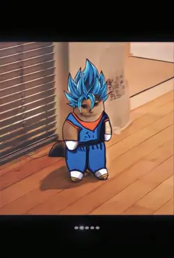 DRAGON BALL EDIT