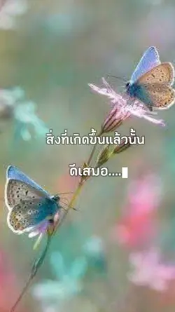 คำคม