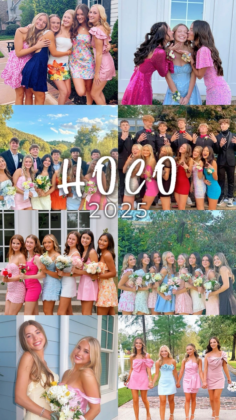 transition hoco - Pippit