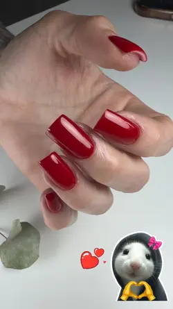 Maniküre 