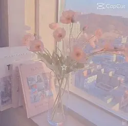 Aesthetic