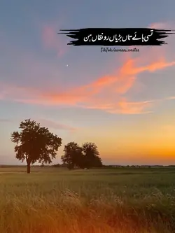 Meesam Khokhar Poetr