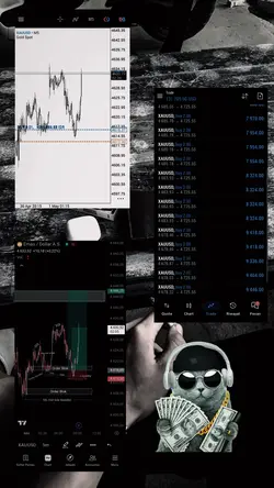 treder forex
