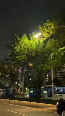sure thing slowmo
