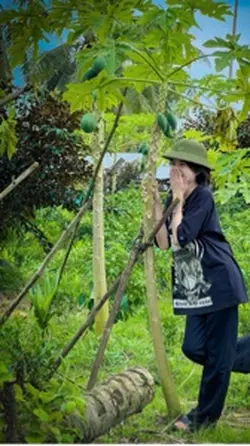 Thương hết mình