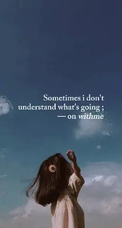 I don't understand 