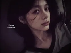 1 ảnh 