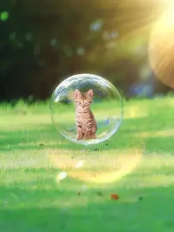 Bubble