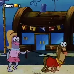 Tumhara Dost chakka: