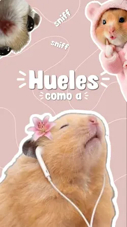Necesitas alisados 🌸