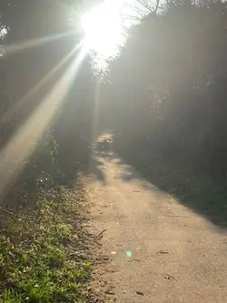 .