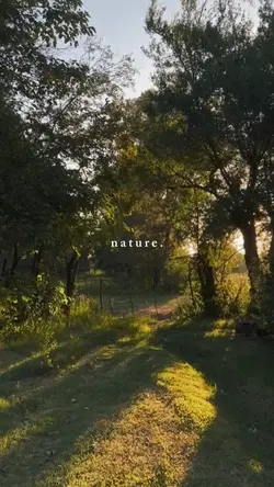 nature 