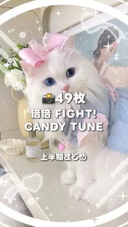 🎵倍倍 FIGHT!