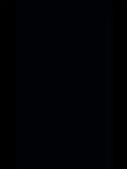 tik tok 
