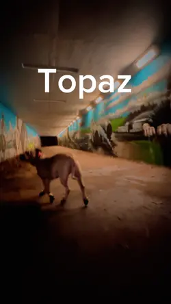 Topaz