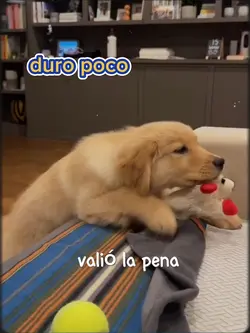 duropoco