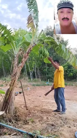 Nasaan na yun