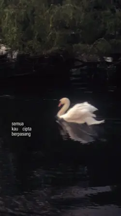 semua kau cipta