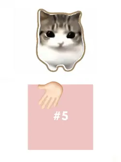 dumdum didi cat