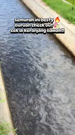 promosi produk
