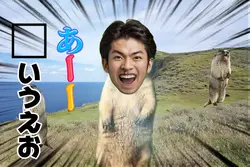 天才マーモット　