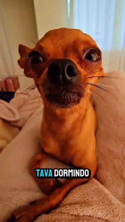eu tava dormindo 