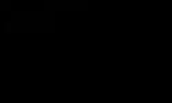 dong | 