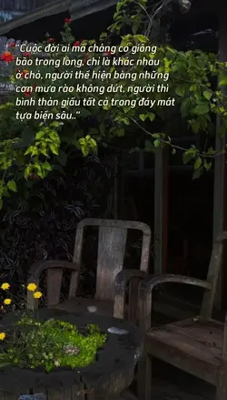 caption + màu