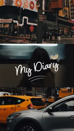 my diary
