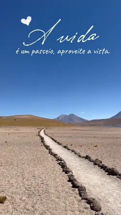 Vida 