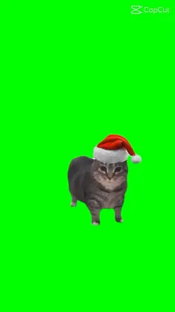 Le chat-noël