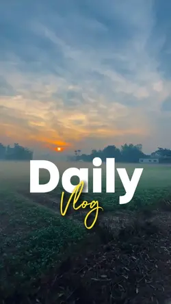 Daily Vlog