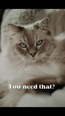 You Need That?