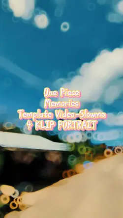 One Piece Memories