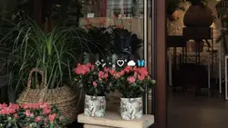 vlog versi landscape