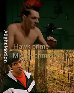 Cobra kai