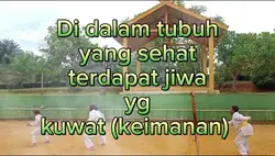 Safar wp. 7