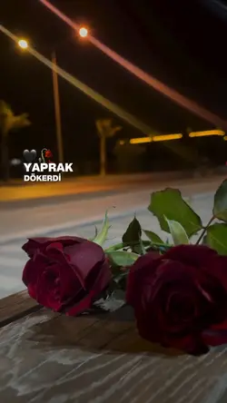 ŞABLON ÜCRETSİZ 