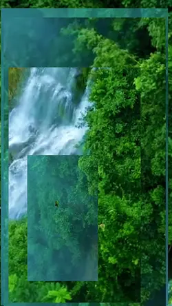 4 video or photo 