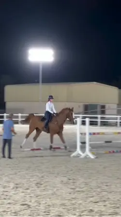Take my reins 