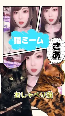 おしゃべり猫/ネタ系