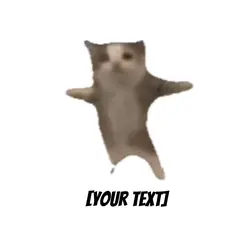 Cat 🐱 