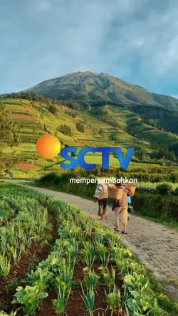 dan bintang mlm berk