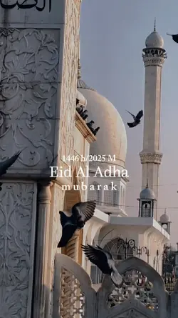 IdulAdha 